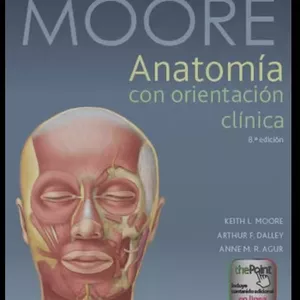 Imagen de portada para Ebook Anatomía según Moore 