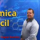 Prof Wagner Bertolini