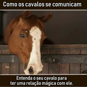 Imagem do curso Como os Cavalos se Comunicam