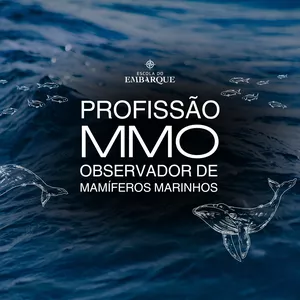 Imagem de capa para o Curso online Curso Profissão MMO - Observador de Mamíferos Marinhos