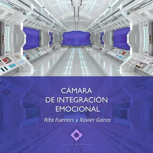 Imagen de portada para Curso online CAMARA DE INTEGRACIÓN EMOCIONAL 