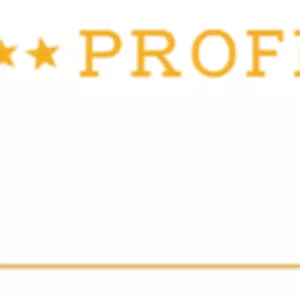 Imagem de capa para o Curso online Profissão Palestrante