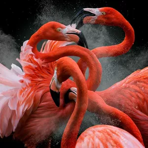 Imagem de capa para o Ebook ebook vida para voce ficar maior