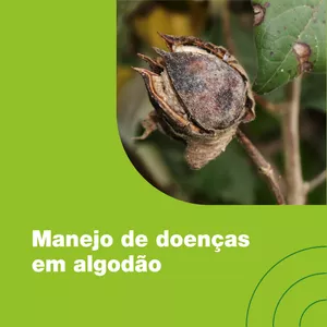 Imagem de capa para o Curso online Manejo de doenças em algodão