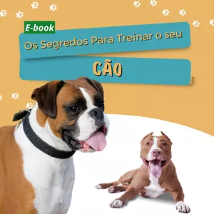 Imagem de capa para o Ebook Os Segredos para Treinar o seu Cão