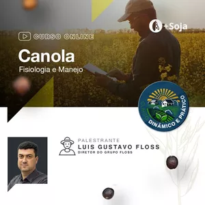 Imagem de capa para o Curso online Canola: Fisiologia e Manejo 