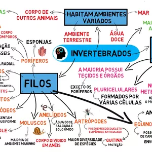 Imagem de capa para o Ebook MAPA MENTAL - ANIMAIS INVERTEBRADOS