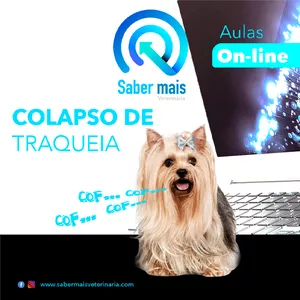 Imagem de capa para o Curso online COLAPSO DE TRAQUEIA EM CÃES