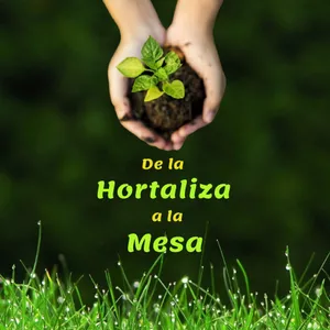 Imagen de portada para Curso online De la HORTALIZA a la MESA 