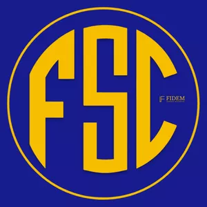 Imagem de capa para o Curso online Arena Desenvolvimento - o Portal da Fidem Soccer Class