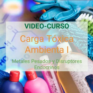 Imagen de portada para Curso online Carga Toxica Ambiental: Metales Pesados y Disruptores Endocrinos