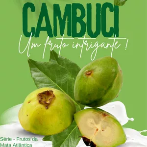 Imagem de capa para o Ebook Cozinhando com Nutrição: frutos da mata Atlântica - Cambuci