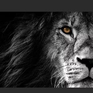 Imagem de capa para o Curso online A Sabedoria Divina e Seus Ensinamentos para Todos