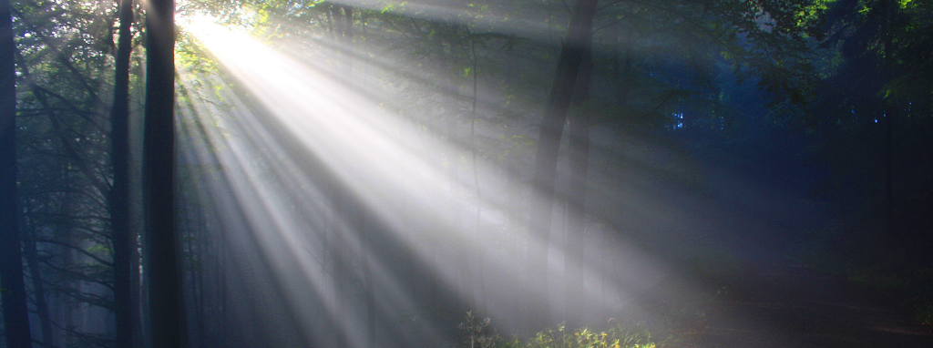 Além da Dor: Um Guia para Compreender e Viver o Luto