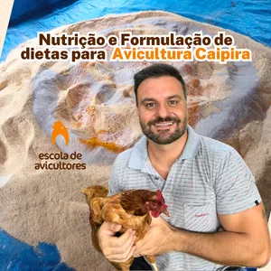 Imagem de capa para o Curso online Nutrição e Formulação de Ração para Avicultura Caipira