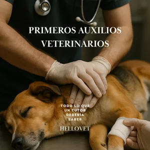 Imagen de portada para Ebook Primeros Auxilios Veterinarios: todo lo que un tutor debería saber. 