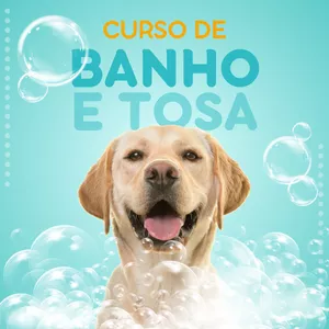 Imagem de Curso Básico de Banho e Tosa criado por Aline Machado na hotmart