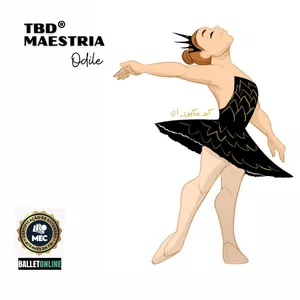 Imagem de capa para o Curso online MAESTRIA - FORMAÇÃO EM PROFESSOR(A) BALLET CÁSSICO MÉTODO TBD