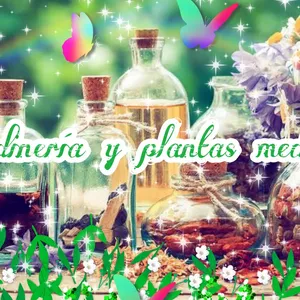 Imagen de portada para Curso online Jardinería y plantas medicinales