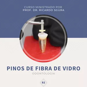 Imagem de capa para o Curso online PINOS DE FIBRA DE VIDRO