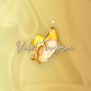 Imagem de capa para o Curso online MÉTODO VINHAL TRANSFORMA