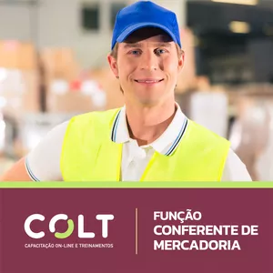 Imagem de CONFERENTE DE MERCADORIA criado por Colt Capacitação e Treinamentos na hotmart