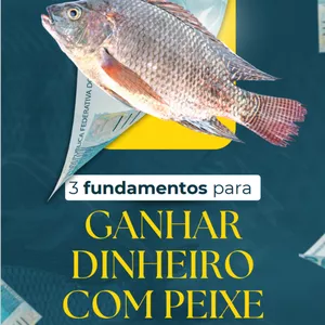 Imagem de capa para o Curso online 3 Fundamentos para Ganhar Dinheiro com Peixes