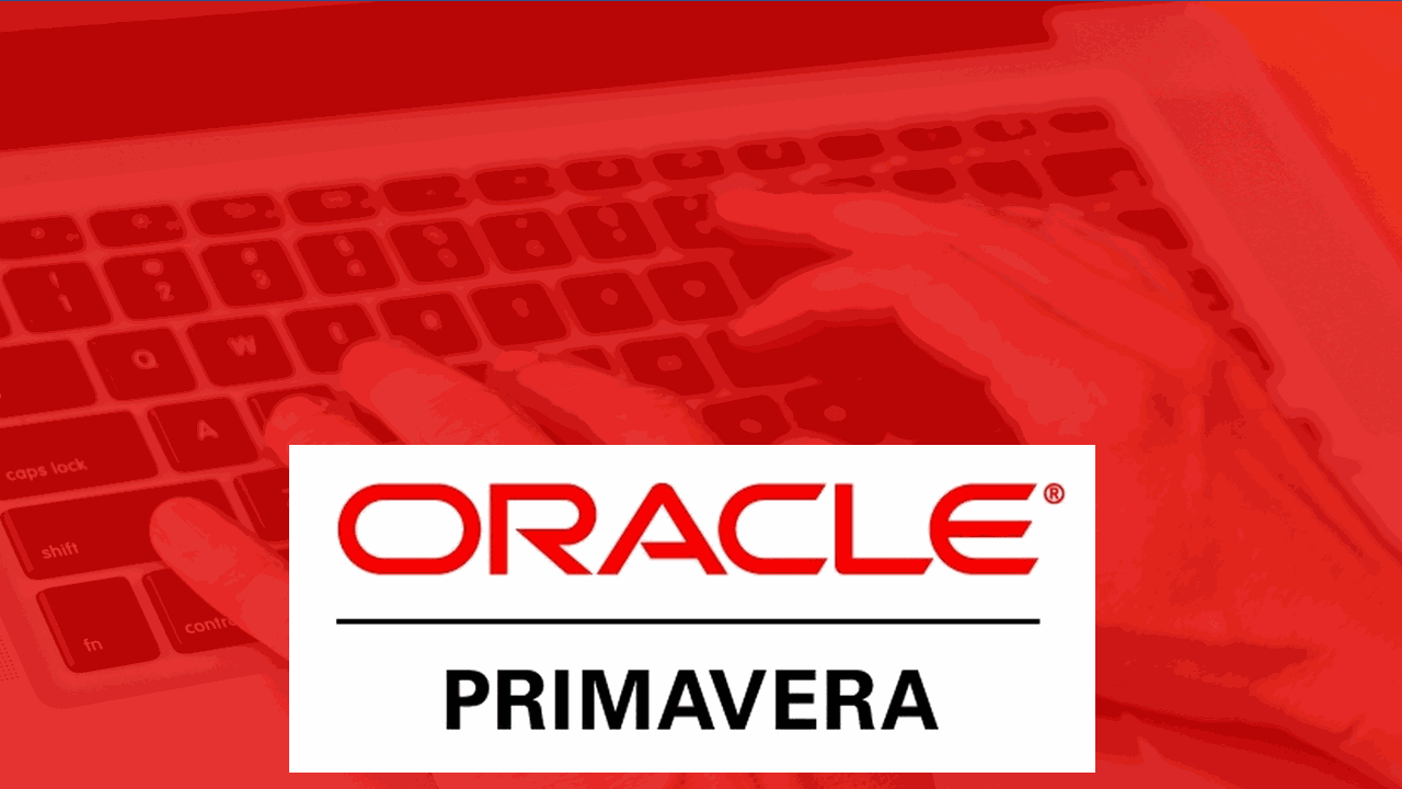 Curso Online Primavera P6 Magistral