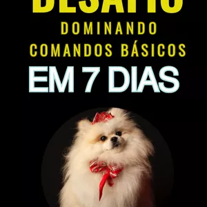 Imagem de capa para o Ebook Desafio Dominando comandos básicos em 7 dias