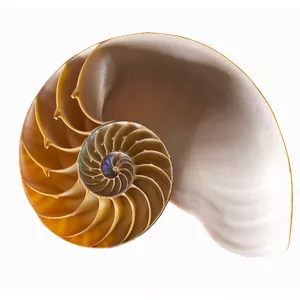 Imagem de capa para o Curso online Geometria Analítica