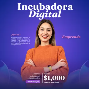 Imagen de portada para Curso online Incubadora de Negocios Digital