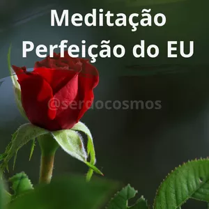 Imagem do curso Meditação - Perfeição do EU