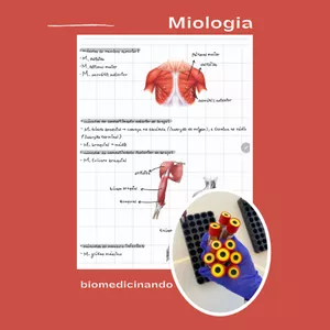 Imagem de capa para o Ebook Study Resumos - Miologia