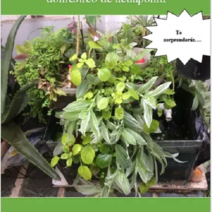 Imagen de portada para Ebook Guía Pdf Construcción De Un Sistema Domestico De Acuaponico