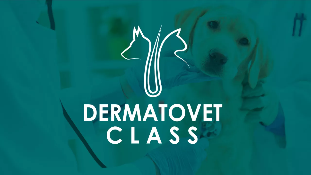 Dermatovet class