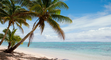 The Highest Paid Part Time Job In The World
