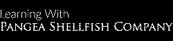 Pangea Shellfish