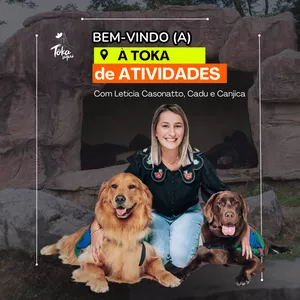 Imagem de capa para o Curso online Toka de Atividades