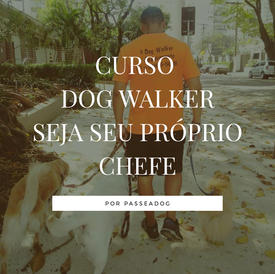 Curso Curso de Dog Walker - Seja seu próprio chefe