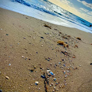 Imagen de portada para Curso online Bal Harbour Beach