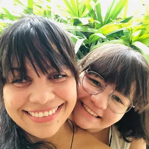 Imagem de capa para o Ebook Diário de Leitura + Estudo Dirigido de "A árvore que dava dinheiro", de Domingos Pellegrini