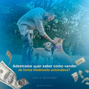 Imagem do curso Adestrador Rico