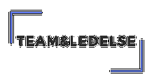 Team&Ledelse logo