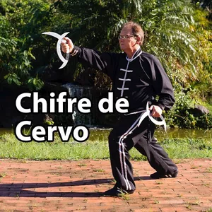 Cover image for Online course Deer Horn/Mandarin Duck/Fish -Tail Knife WuYuānYāng Yuè 鴛鴦鉞 