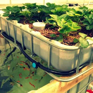 Imagen de portada para Ebook Curso de Acuaponía