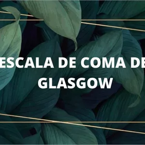 Imagem de capa para o Curso online Escala de coma de Gasglow PDF