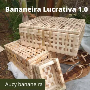 Imagem de capa para o Curso online  Bananeira   Lucrativa 1.0