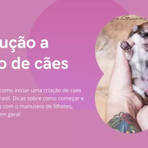 Capa do curso 