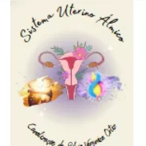 Imagem do curso Sistema Uterino Almico