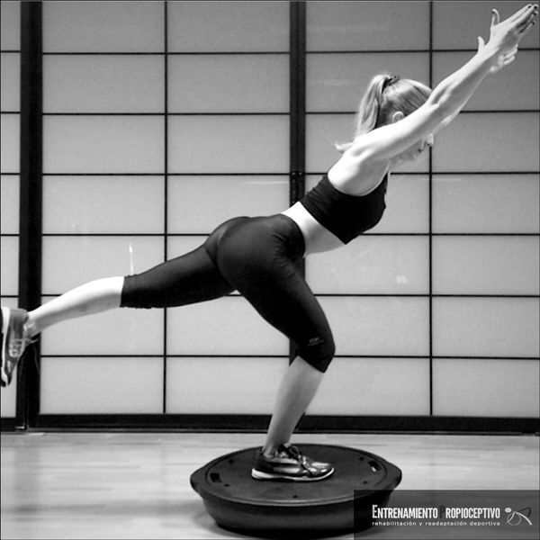 Curso online avanzado en Entrenamiento Propioceptivo ...